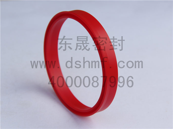 唇型密封圈，密封件，產(chǎn)品