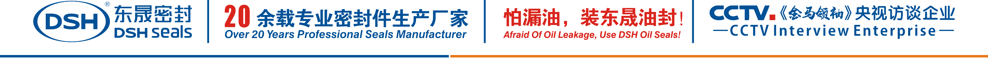 怕漏油，裝東晟油封！