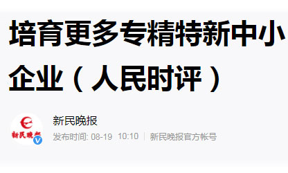 培育更多專精特新中小企業(yè)（人民時(shí)評）