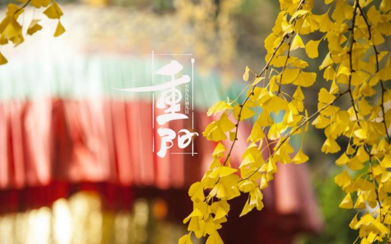 金秋送爽，心暖重陽。祝您重陽愉快，闔家歡樂，福壽安康！