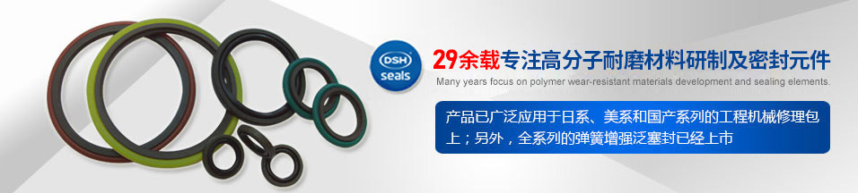 唇型密封件：提升系統(tǒng)效率和可靠性的關(guān)鍵！
